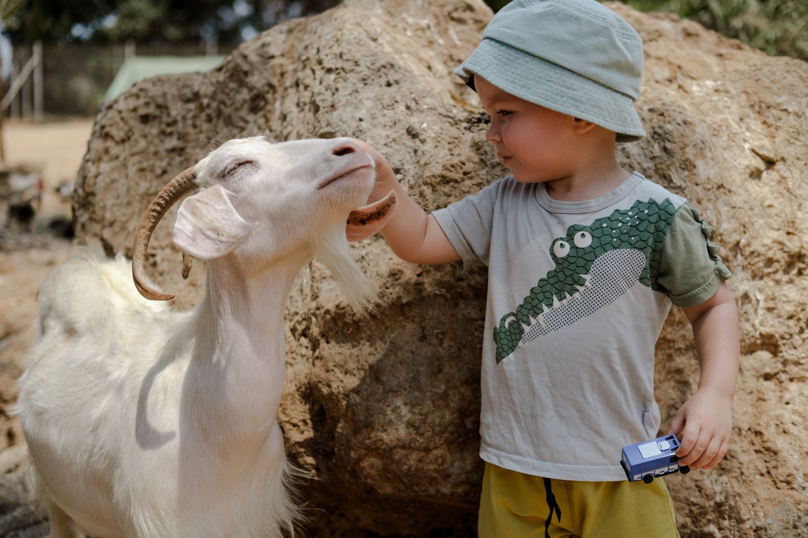 A delightful moment as a young child gently pets a goat in a rural outdoor setting.